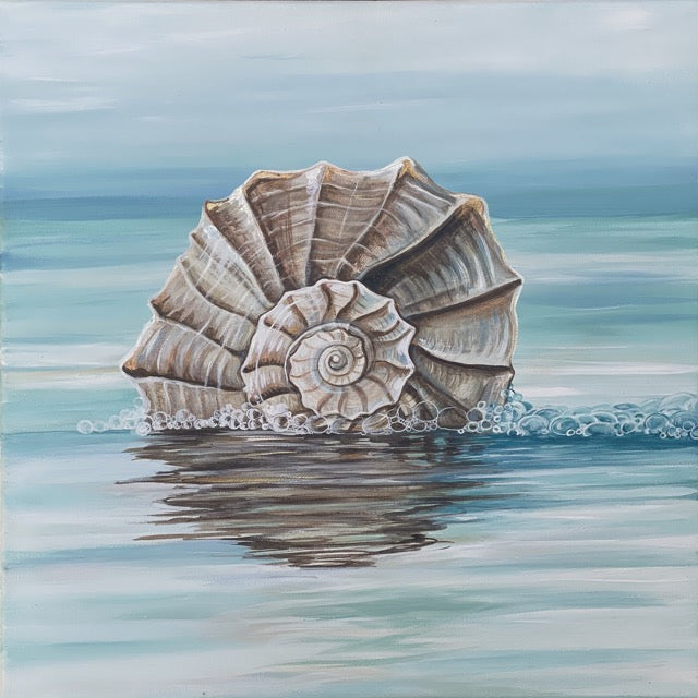 Ocean's Whisper – luminous whelk shell fine art print by Paula Freeman, 40x40 inch canvas