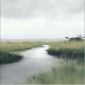 Marshland with water and grass under a cloudy sky