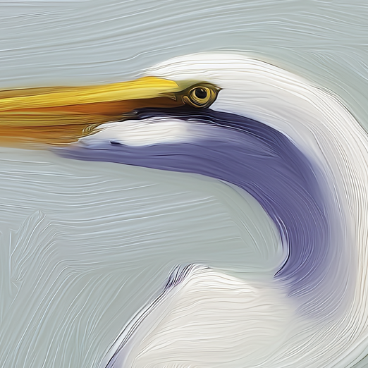 Close-up of a pelican's head with a textured background