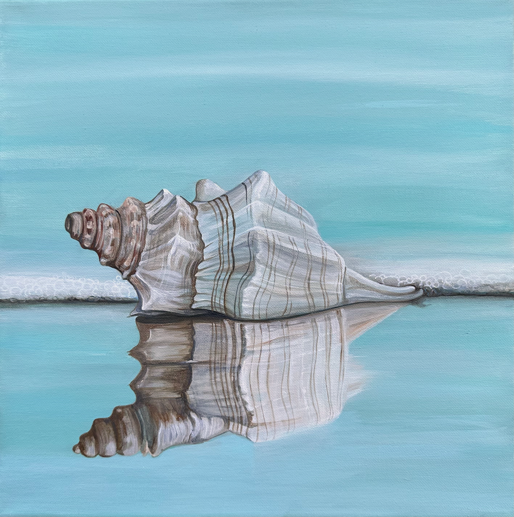 Tranquil Shell Reflection – twin seashells fine art print by Paula Freeman, soft coastal tones