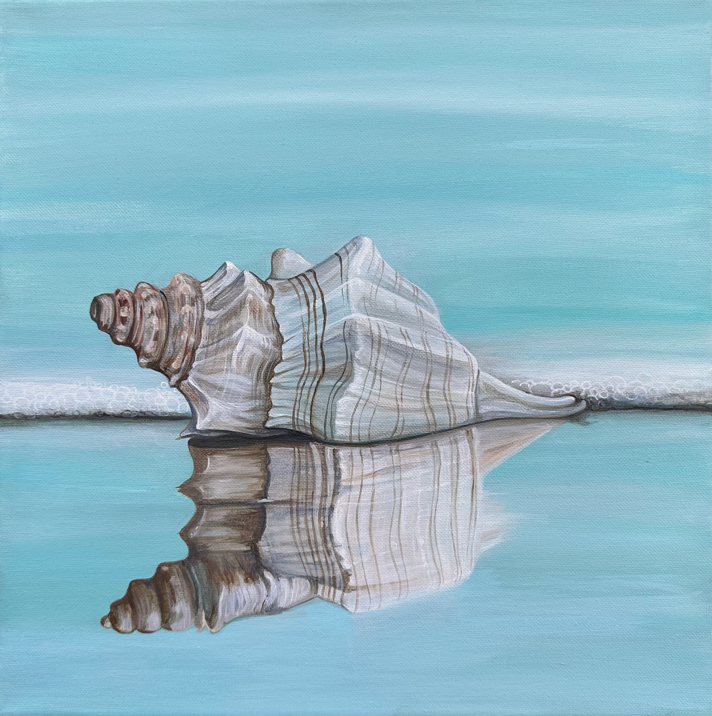 Tranquil Shell Reflection – twin seashells fine art print by Paula Freeman, soft coastal tones